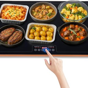 Warmounts Gold Porcelain Electric Warming Tray Food Service-0