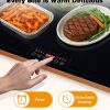 Warmounts Gold Porcelain Electric Warming Tray Food Service-2