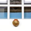Michael Healy Scallop Door Knocker Brass Traditional Small Size-1