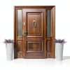 Door Knocker Taymor Satin Nickel Solid Metal 2-1/4" W x 5-1/2" H-1